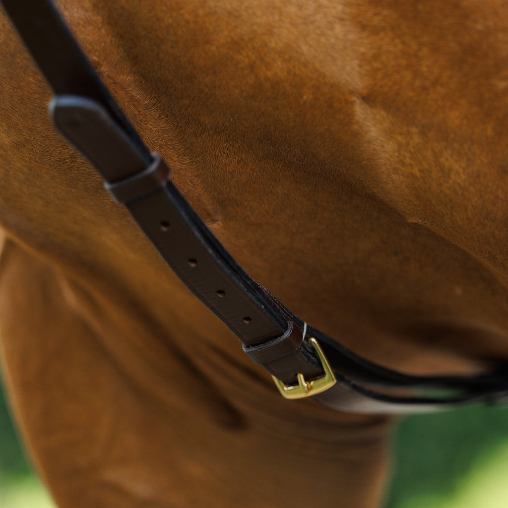 Emmers Breastplate