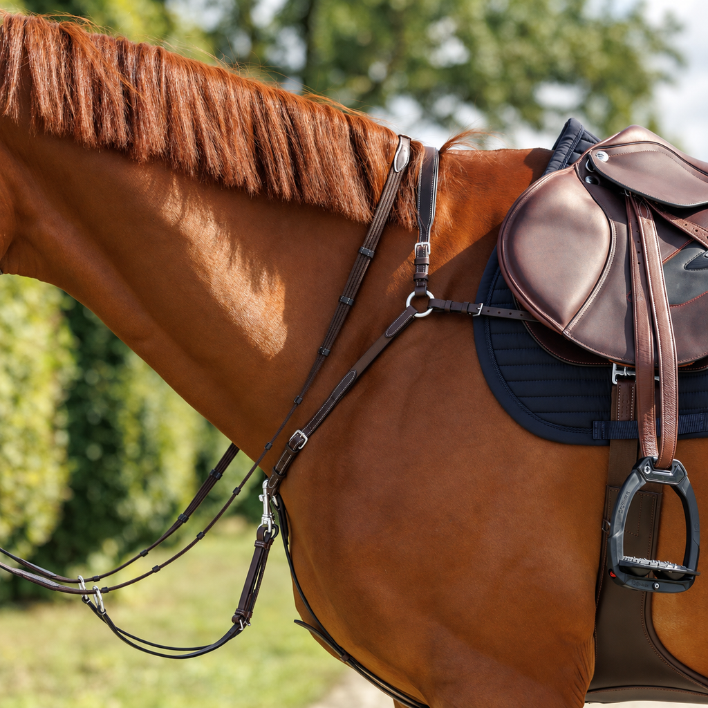 Emmers Breastplate