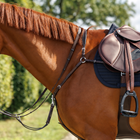 Emmers Breastplate