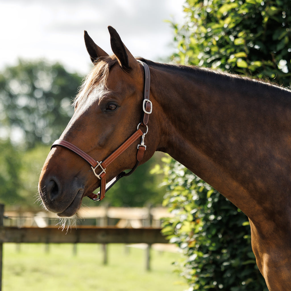Emmrs Halfter Leder - Heritage