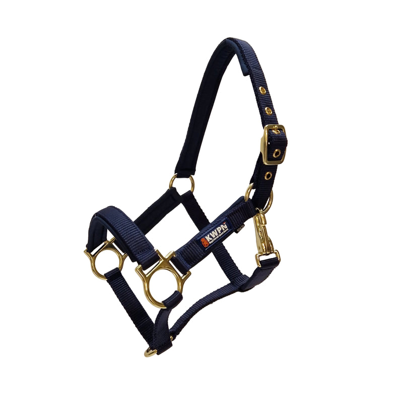 KWPN Foal Halter