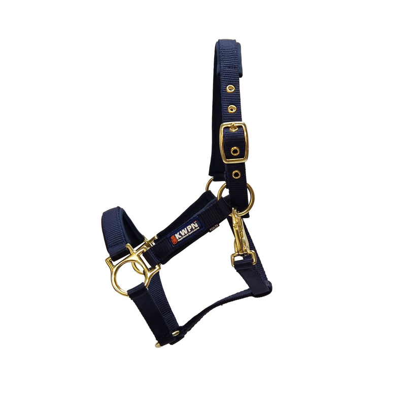 KWPN Foal Halter
