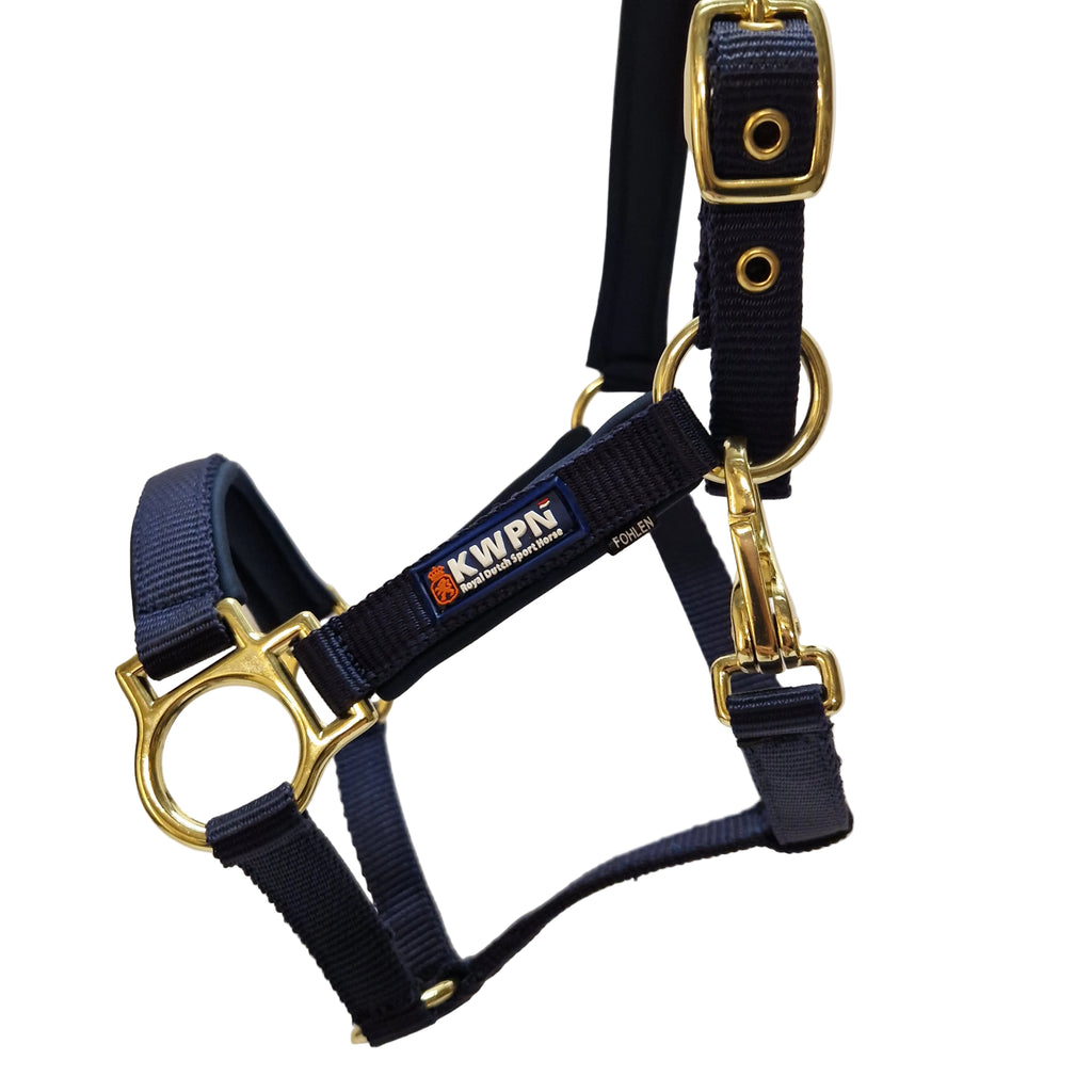 KWPN Foal Halter