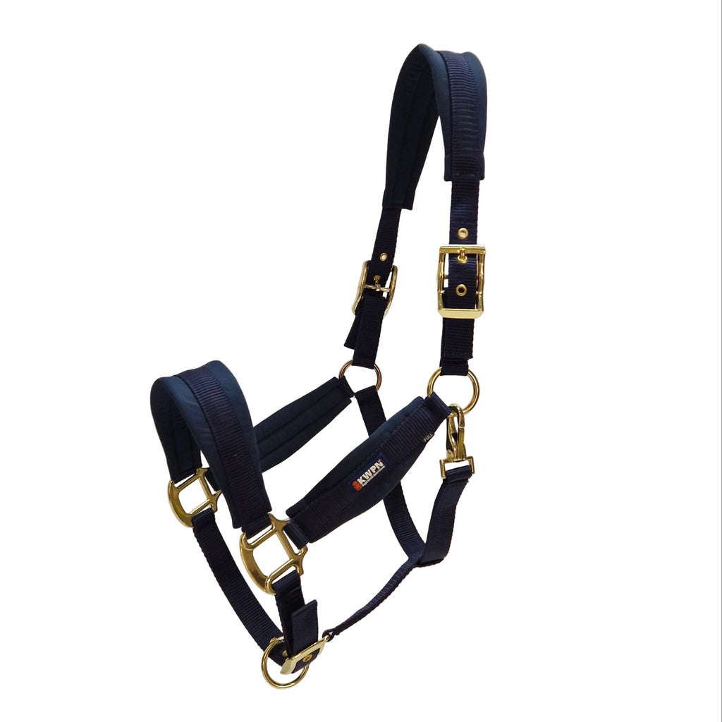 KWPN Halter