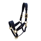 KWPN Halter