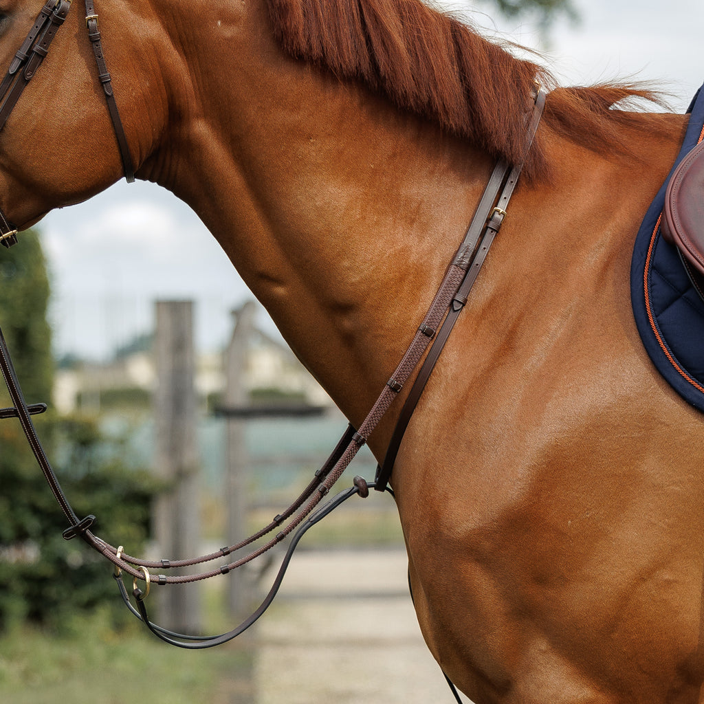 Emmers Running Martingale