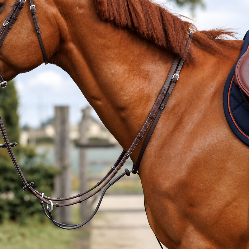 Emmers Running Martingale