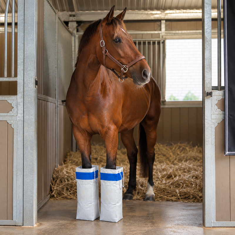 Emmers by Rodeo Solution Spa Boots Basic