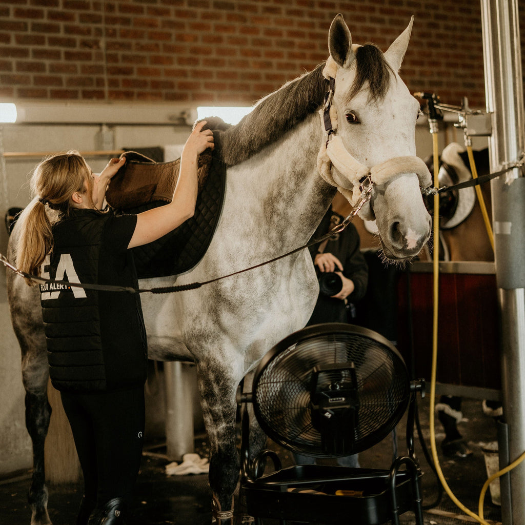 Equi Alert Air Kabelloser Ventilator