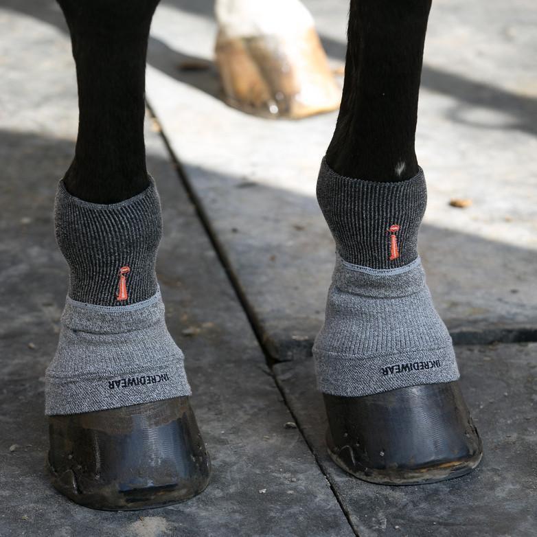 Incrediwear Equine Circulation Hoof Socks - Set Of 2