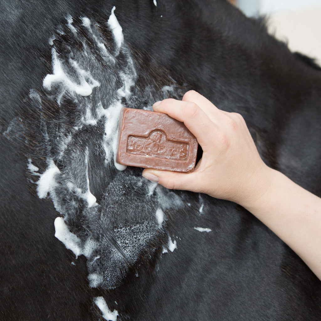Kevin Bacon's Active Soap