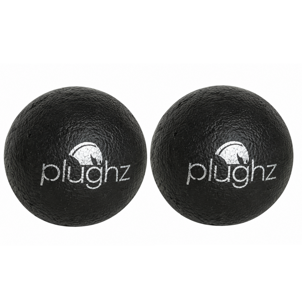 Plughz Ear Plugs - Pair
