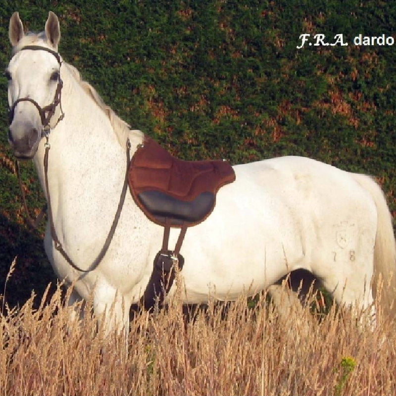Tapis de Monte F.R.A. Dardo - Taille unique
