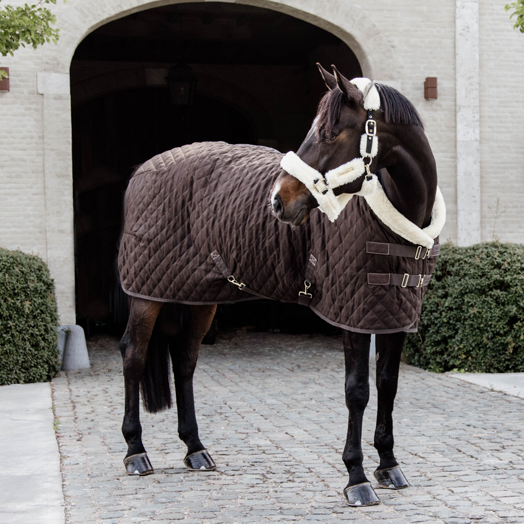 Kentucky Showdeken - 160G