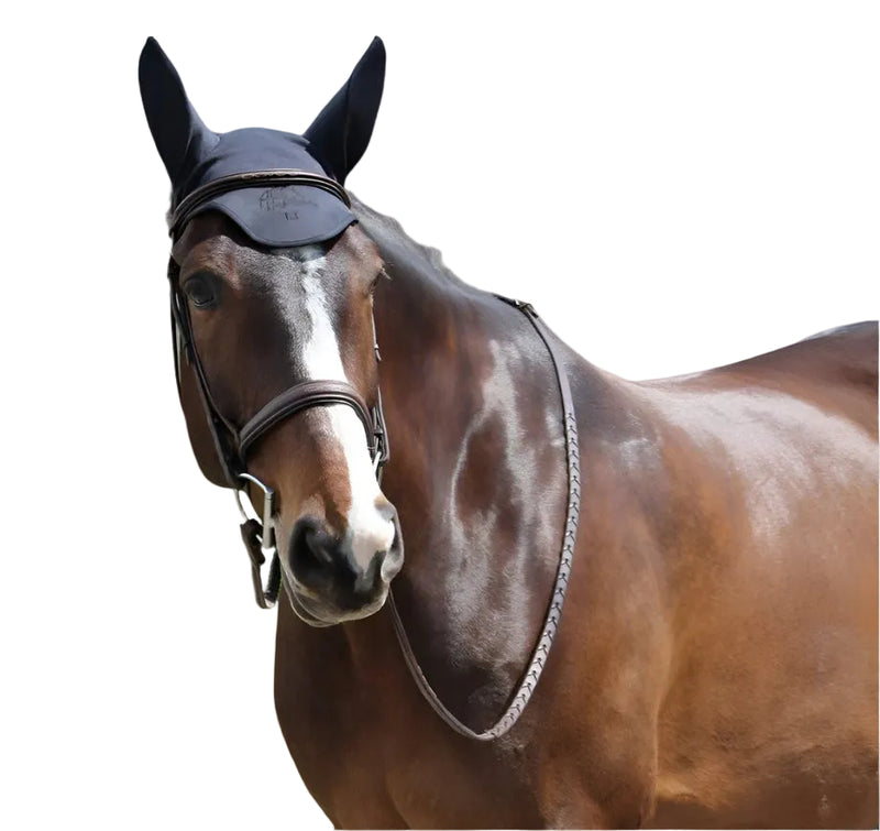 Bonnet Fenwick Fly Liquid Titanium