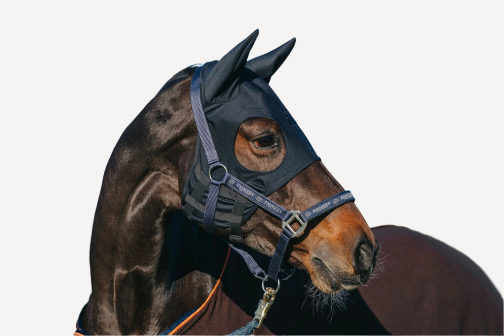 Masque Fenwick Liquid Titanium avec oreilles