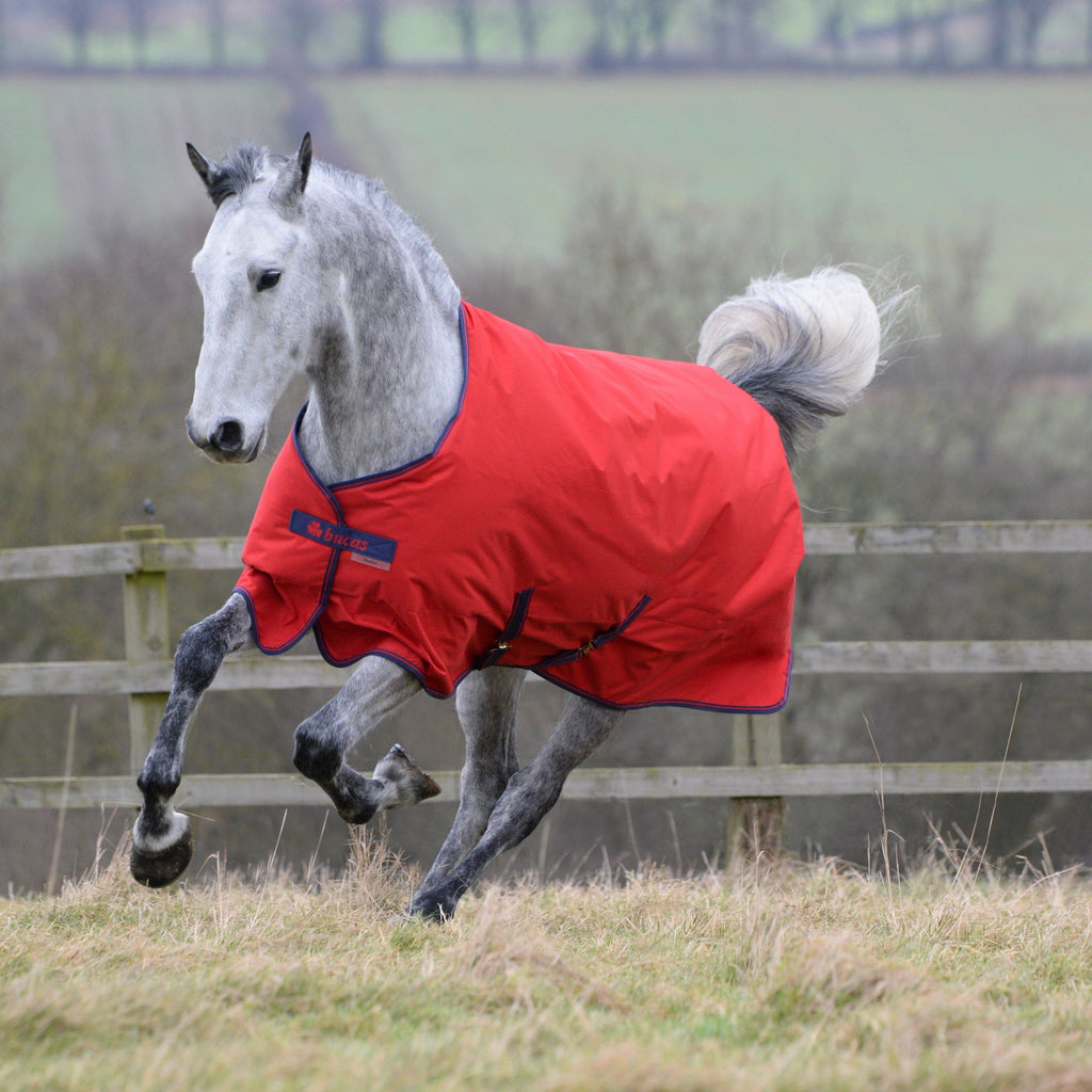 Bucas Freedom Turnout - 150 Gram