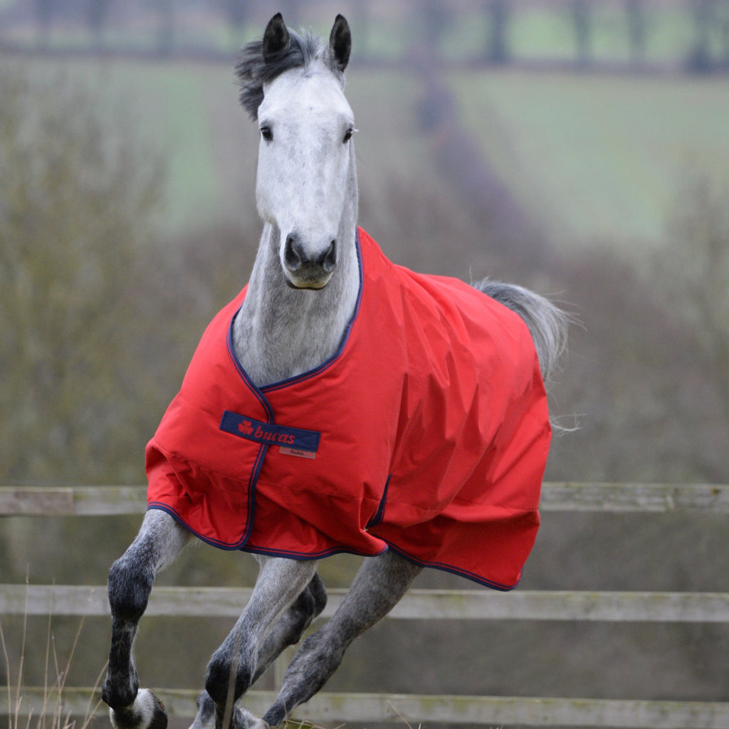 Bucas Freedom Turnout - 150 Gram