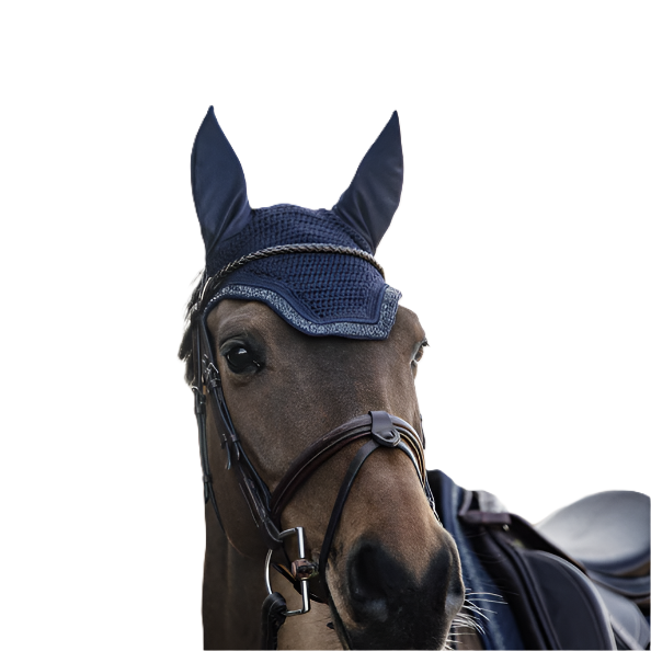 Kentucky Fly Bonnet Wellington Glitter Stone