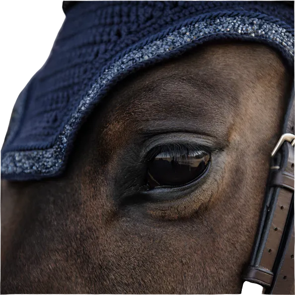 Kentucky Fly Bonnet Wellington Glitter Stone - Soundless
