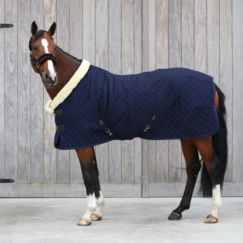 Kentucky Show Rug - 160G