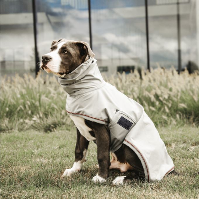 Kentucky Dog Raincoat