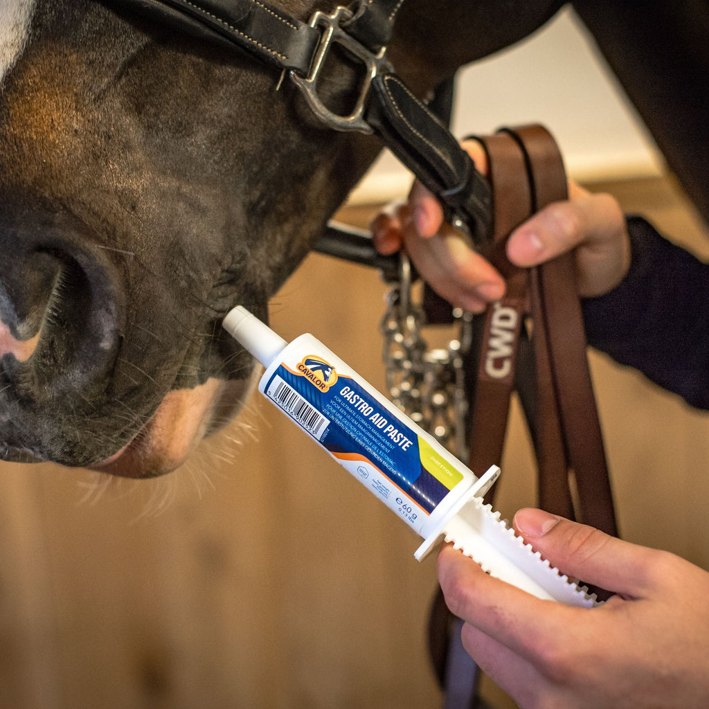 Cavalor Gastro Aid Paste