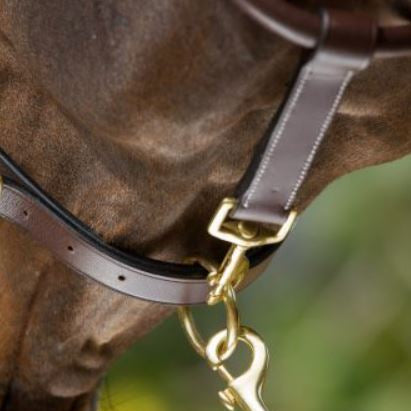 HFI Grooming Halter