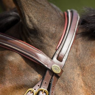 HFI Comfort Bridle