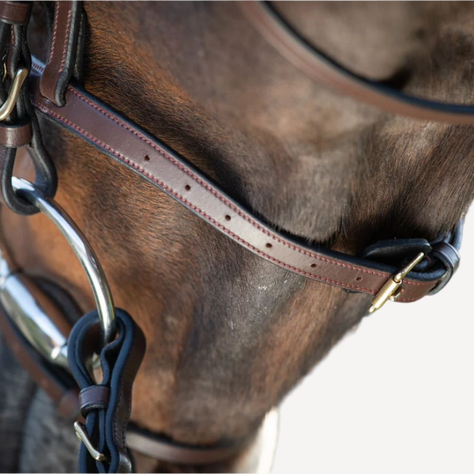 HFI Regular Bridle