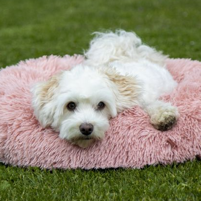 HKM Hondenmand - Fluffy