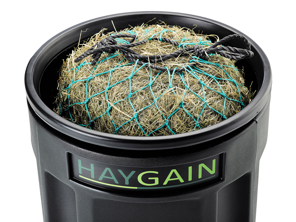 Haygain One