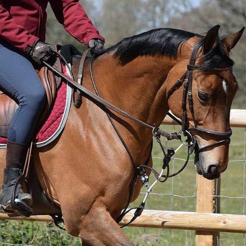 ReinRite Sport Trainingshulp