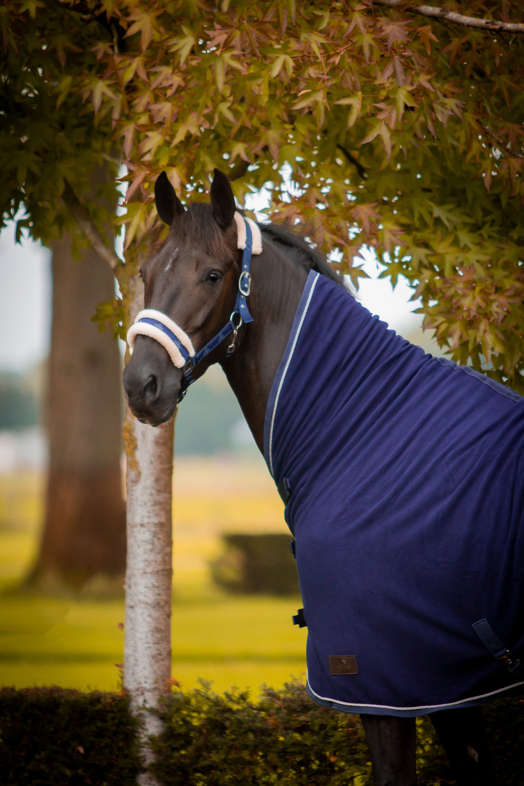 Emmers Fleece Deken - Met Hals
