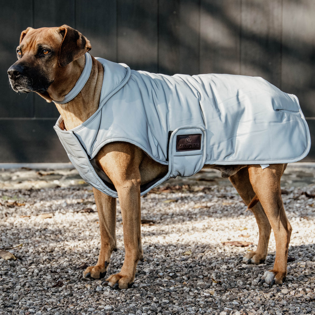 Kentucky Hundemantel - Reflektierend