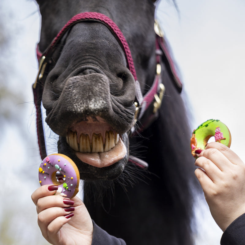 Candy Horse Donuts Horse Treats - 2 Pieces