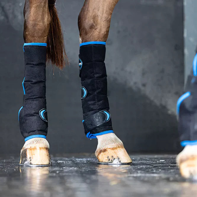 LeMieux Freeze Flow Eisstiefel - Hinterhand