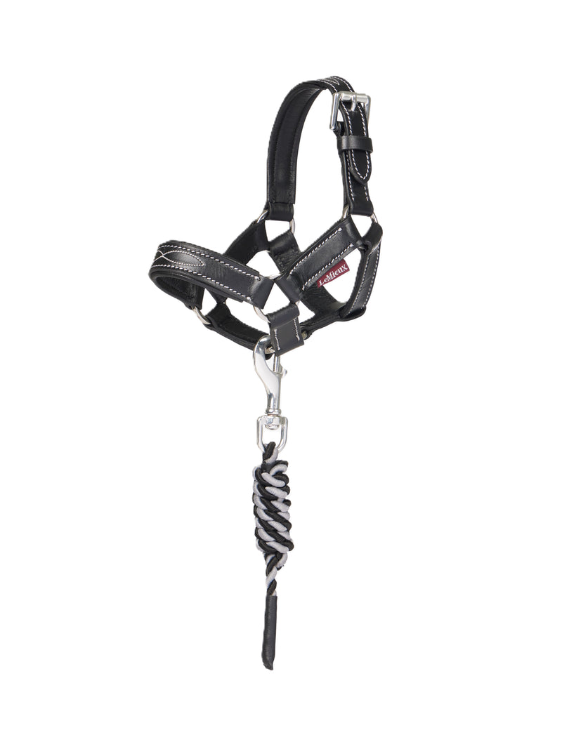 LeMieux Spielzeug Pony Lederhalfter & Seil