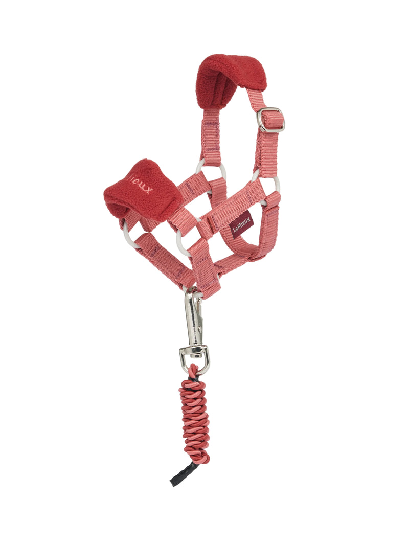 LeMieux Toy Pony Vogue Halter & Rope