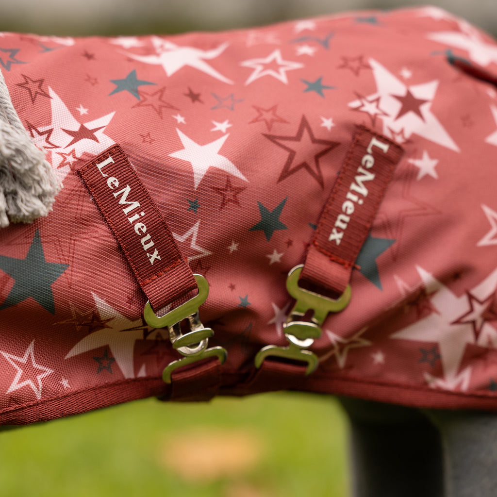 LeMieux Toy Pony Printed Turnout Rug