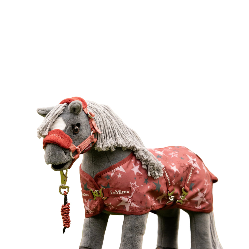 LeMieux Toy Pony Printed Turnout Rug