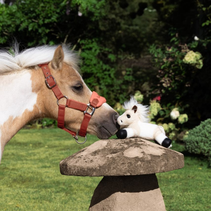 LeMieux Tiny Beanie Pony