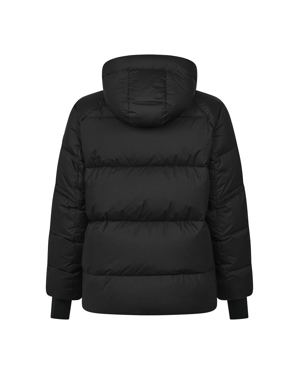 Trolle Jacke Gänsedaune 2.0 - Herren