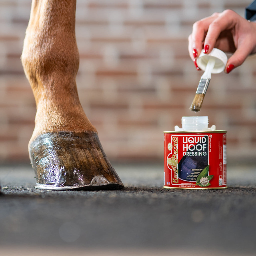 Kevin Bacon's Liquid Hoof Dressing (Olie)