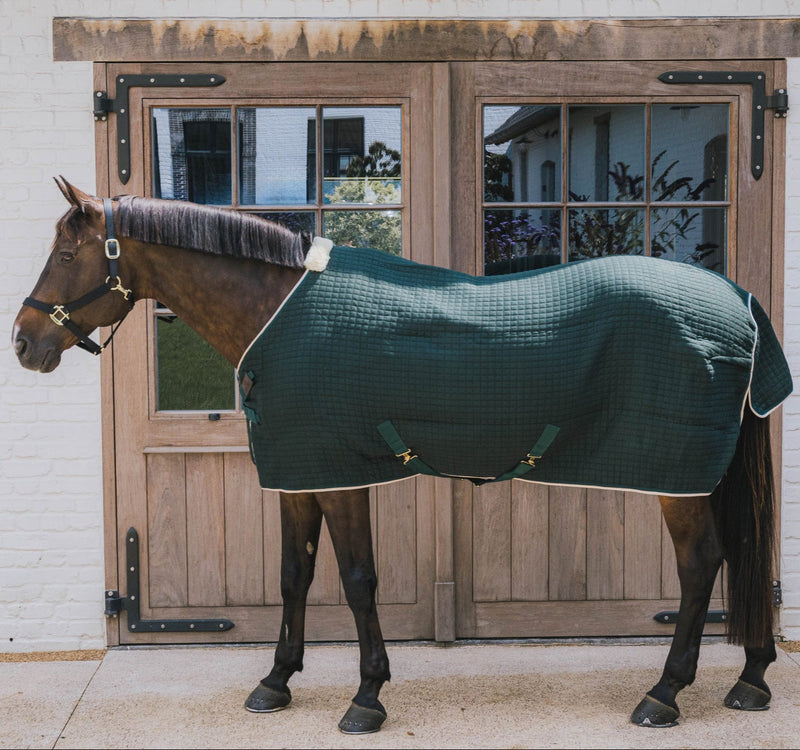 Kentucky Rug Protherm