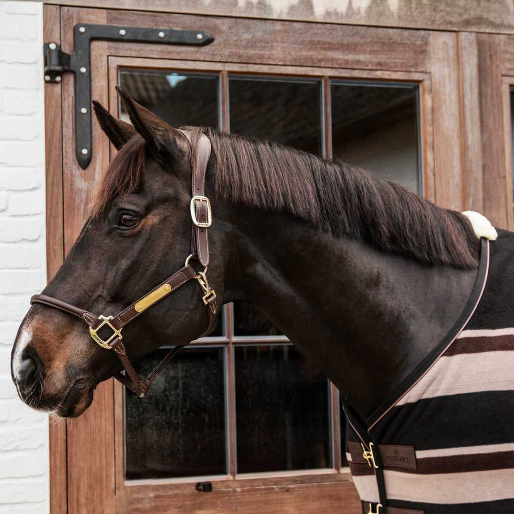 Kentucky Zweetdeken - Heavy Fleece