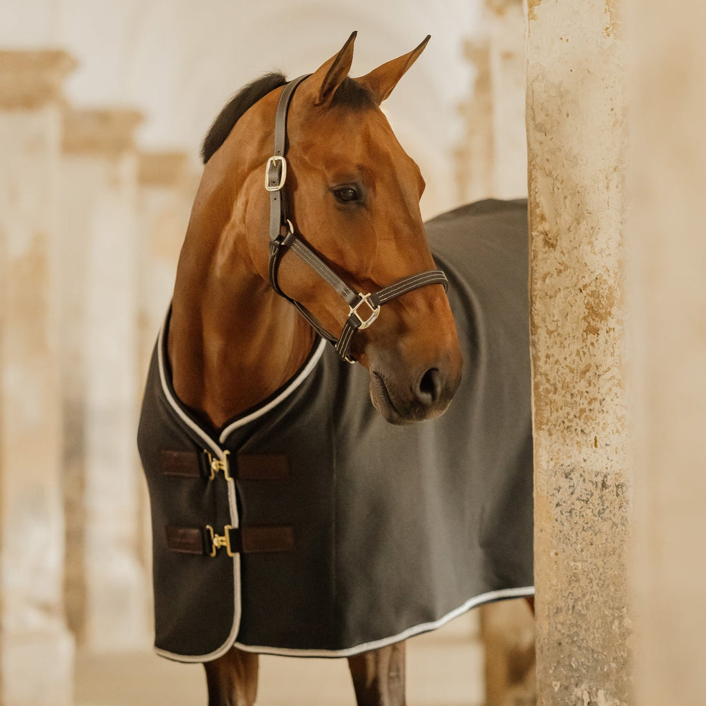 Kentucky Fleece Rug - Vegan Wol