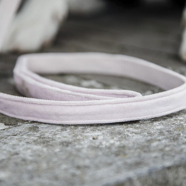 Kentucky Dog Lead L - Velvet - 120Cm