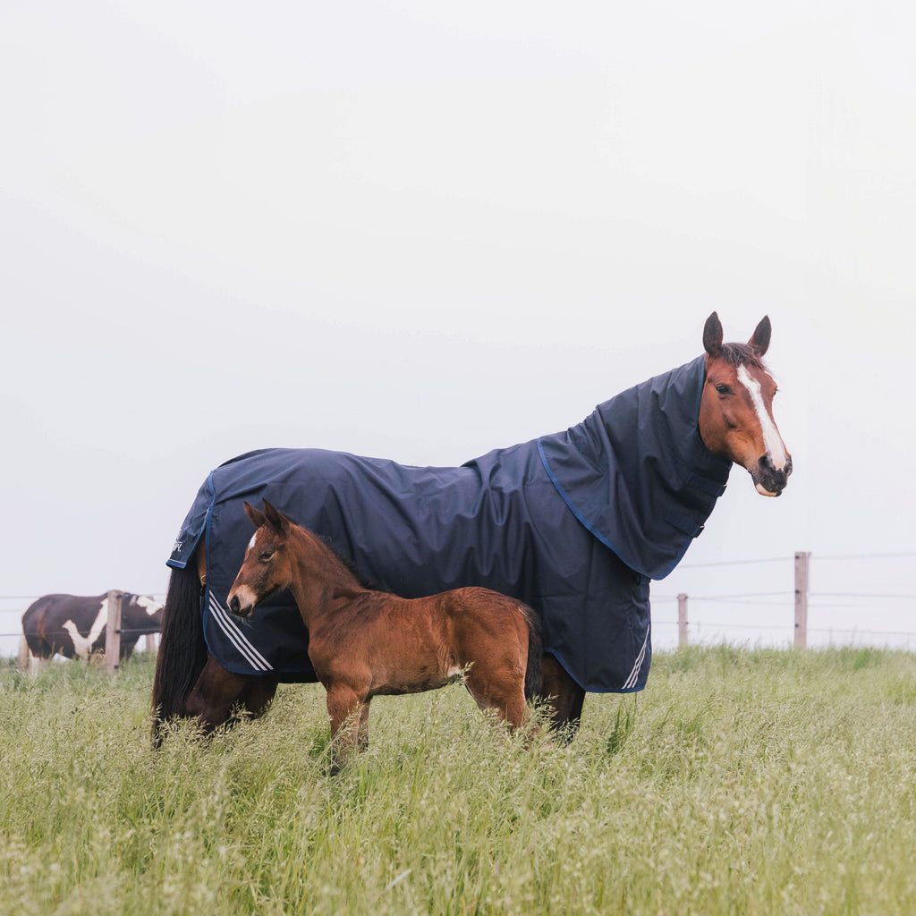 Kentucky All Weather Comfort Halsteil - Wasserdicht - 0 G