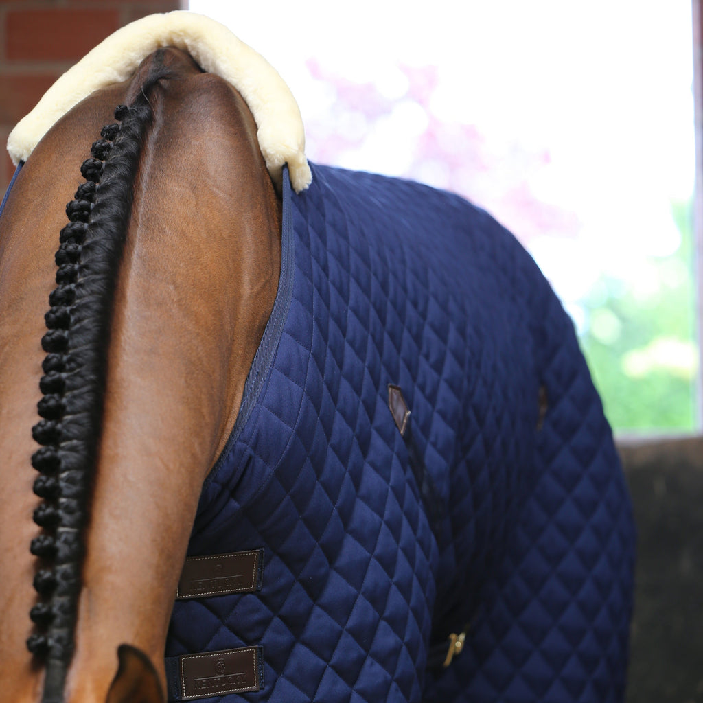 Kentucky Staldeken - 400G